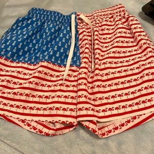 Men’s size medium chubbies swim short 5.5 inseam. Pineapple/flamingo print.